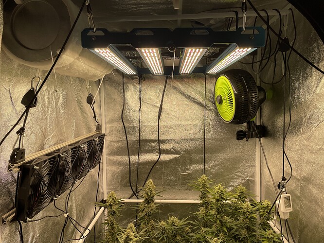 Growreport Bild 3
