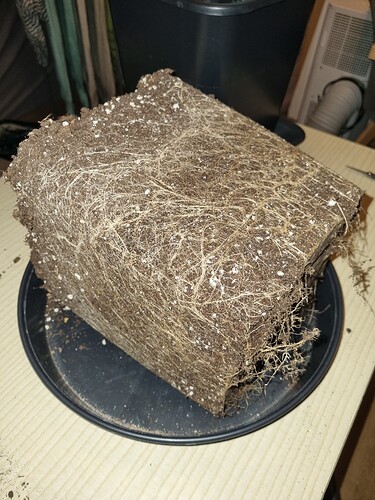 Growreport Bild 17