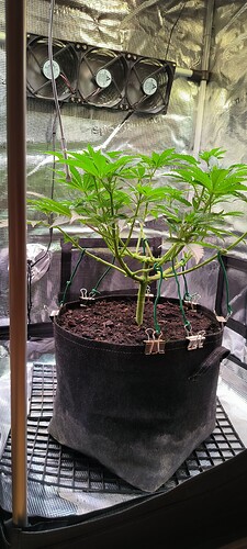 Growreport Bild 13