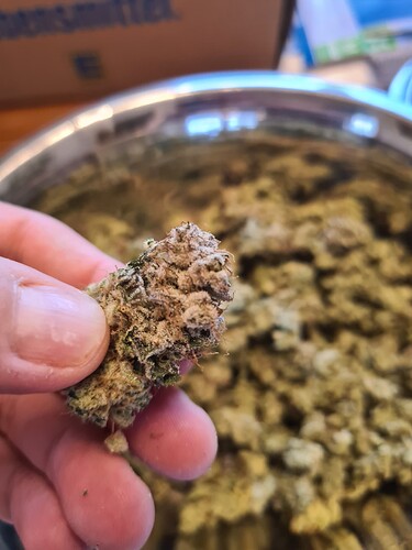 Growreport Bild 6