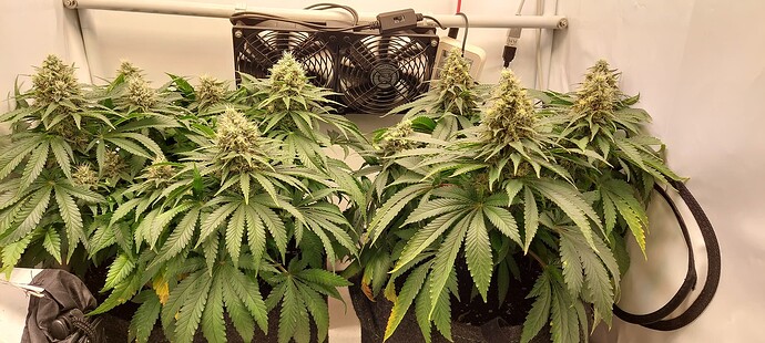 Growreport Bild 2