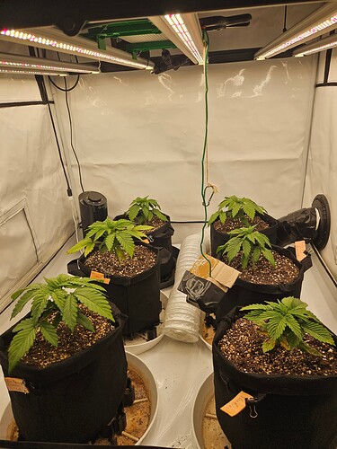 Growreport Bild 17