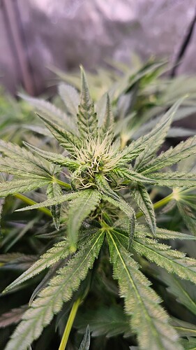 Growreport Bild 17