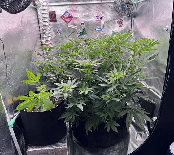 Growreport Bild 11