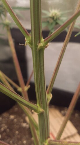 Screenshot_20240911-213607