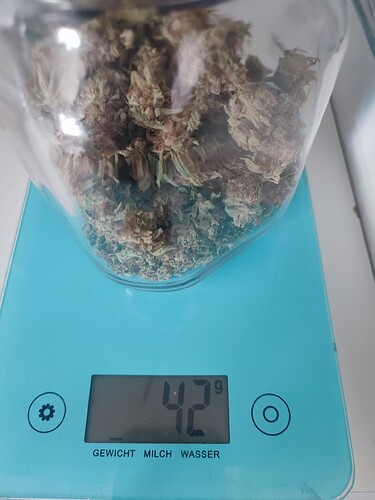 Growreport Bild 15