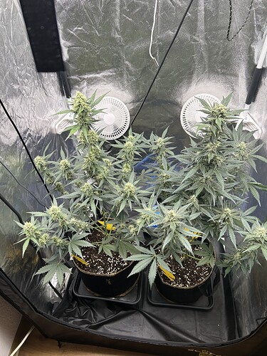 Growreport Bild 11