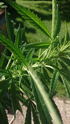 Growreport Bild 30
