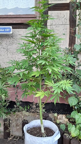 Growreport Bild 2