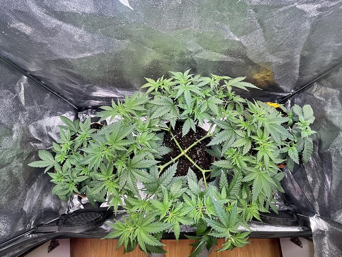 Growreport Bild 9