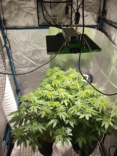 Growreport Bild 7