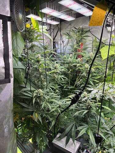 Growreport Bild 18