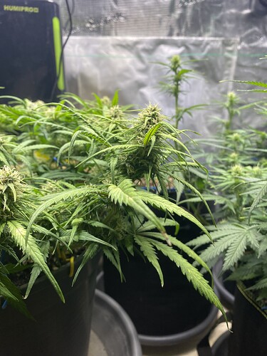 Growreport Bild 25