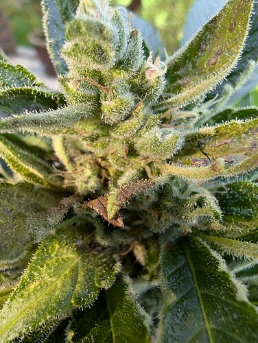 PXL_20240803_110709306