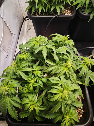 MVIMG_20251017_162042