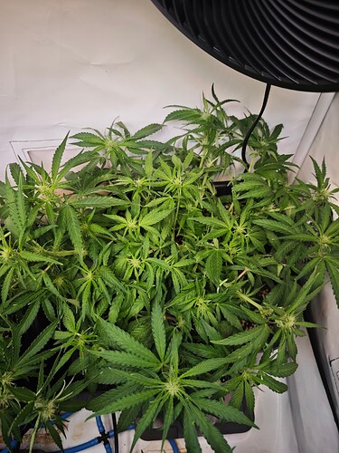 MVIMG_20251020_203900