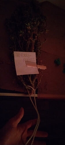 Growreport Bild 8