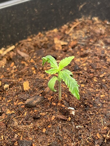 Growreport Bild 8