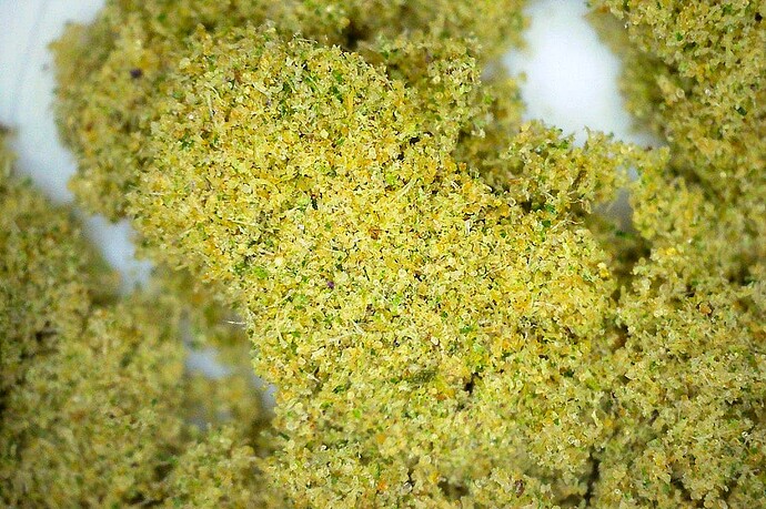 Charge2_Sift_2_02_kief