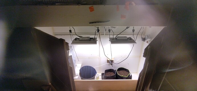 Growreport Bild 6