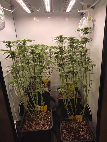 Growreport Bild 10
