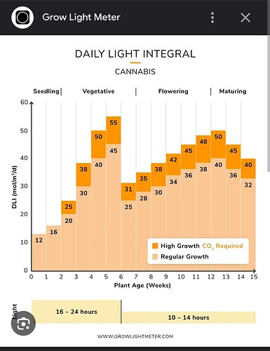 Growreport Bild 157