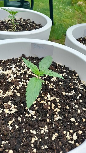 Growreport Bild 23