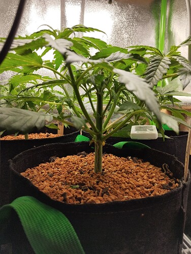 Growreport Bild 13