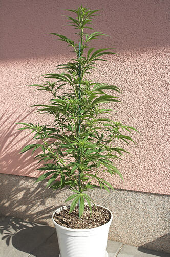 64 - GladiaOutdoor