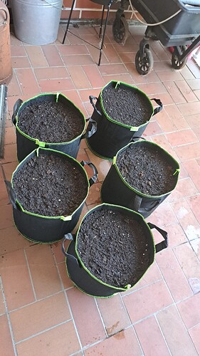 Growreport Bild 54