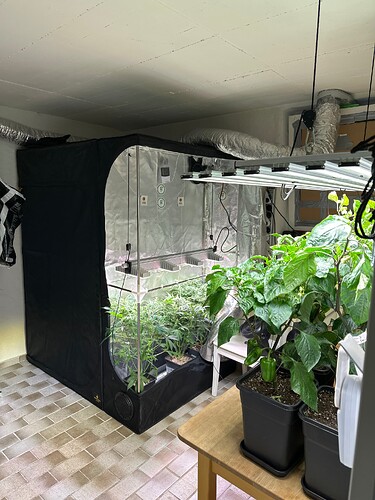 Growreport Bild 7