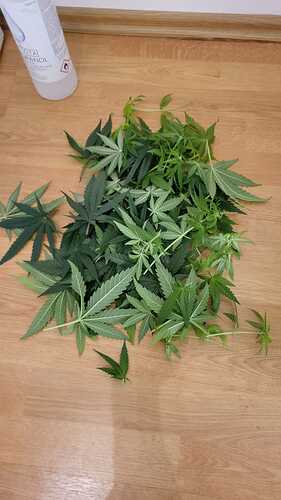 Growreport Bild 21