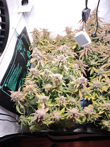 MVIMG_20251128_151133