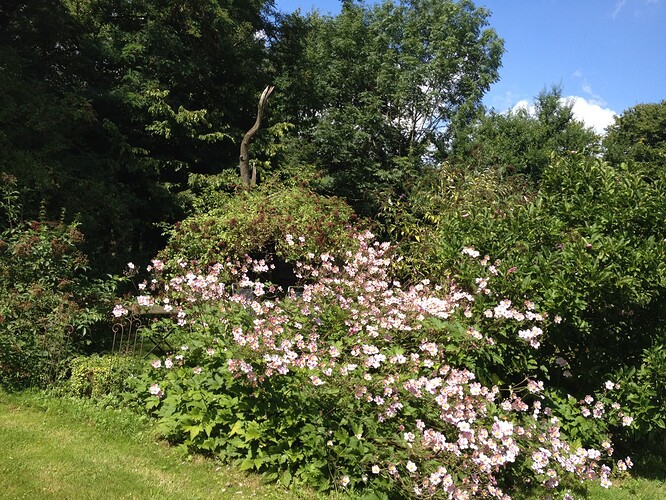 Growreport Bild 31