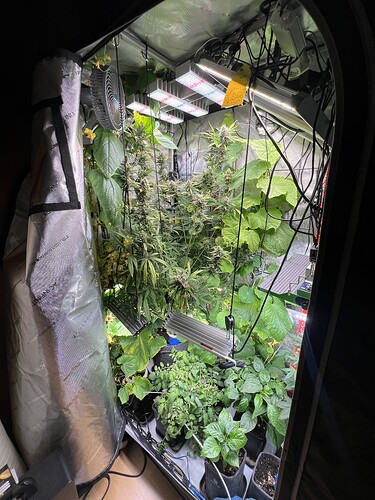 Growreport Bild 11