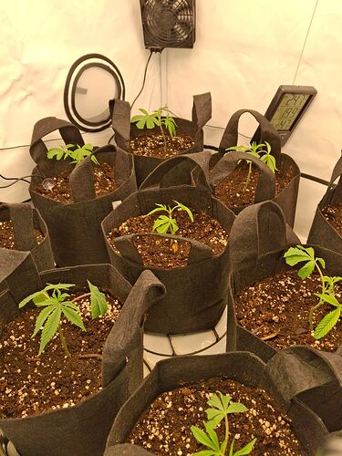 Growreport Bild 9