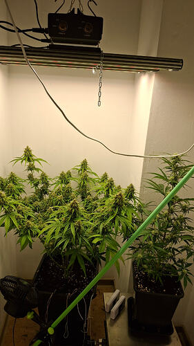 Growreport Bild 314