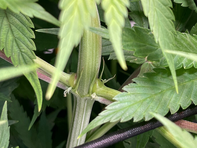 Growreport Bild 20