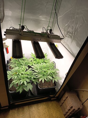 Growreport Bild 11