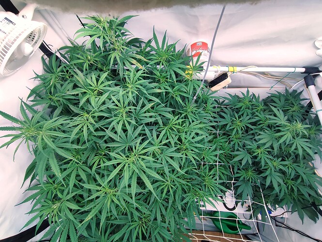 Growreport Bild 14