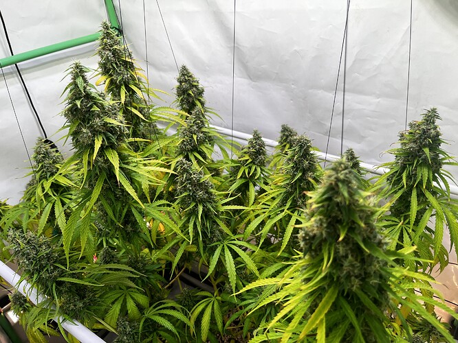 Growreport Bild 9