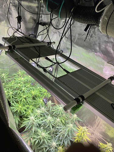 Growreport Bild 95