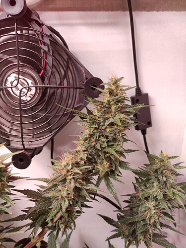 Growreport Bild 20