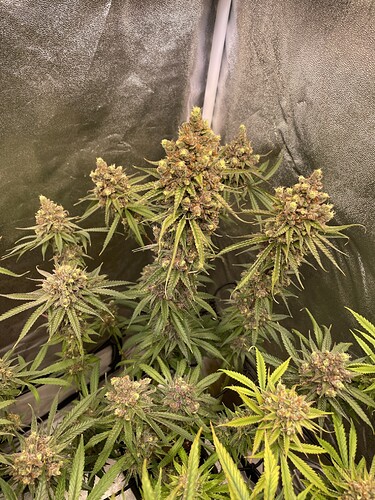 Growreport Bild 10