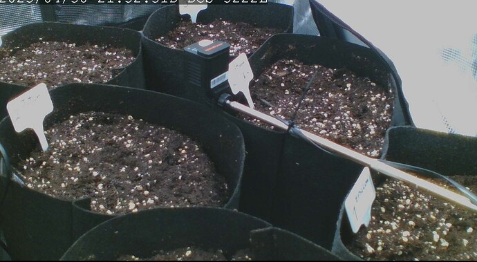 Screenshot_20250430_215325_Samsung Internet