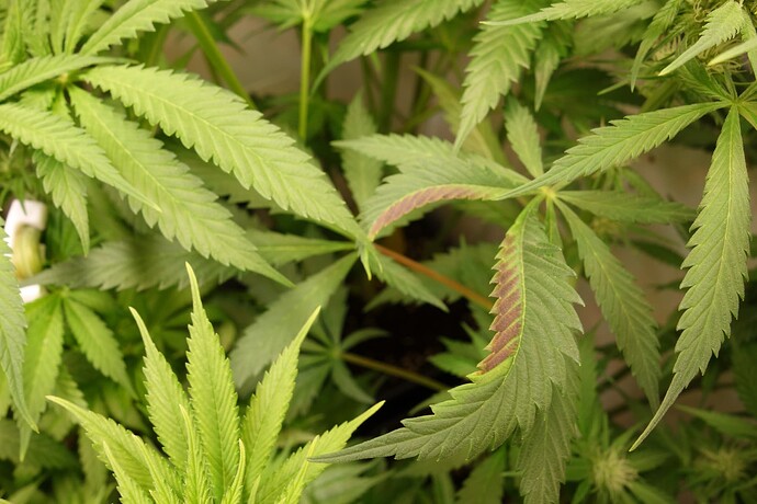 Growreport Bild 14