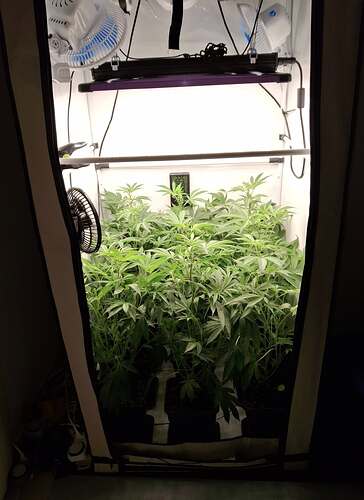 Growreport Bild 22