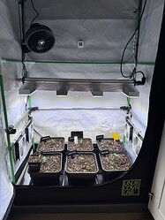 Growreport Bild 11