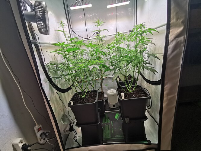 Growreport Bild 17