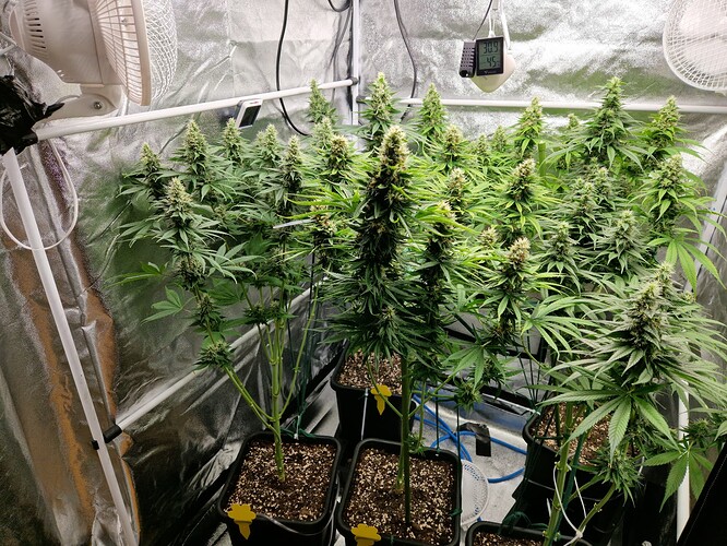 Growreport Bild 9